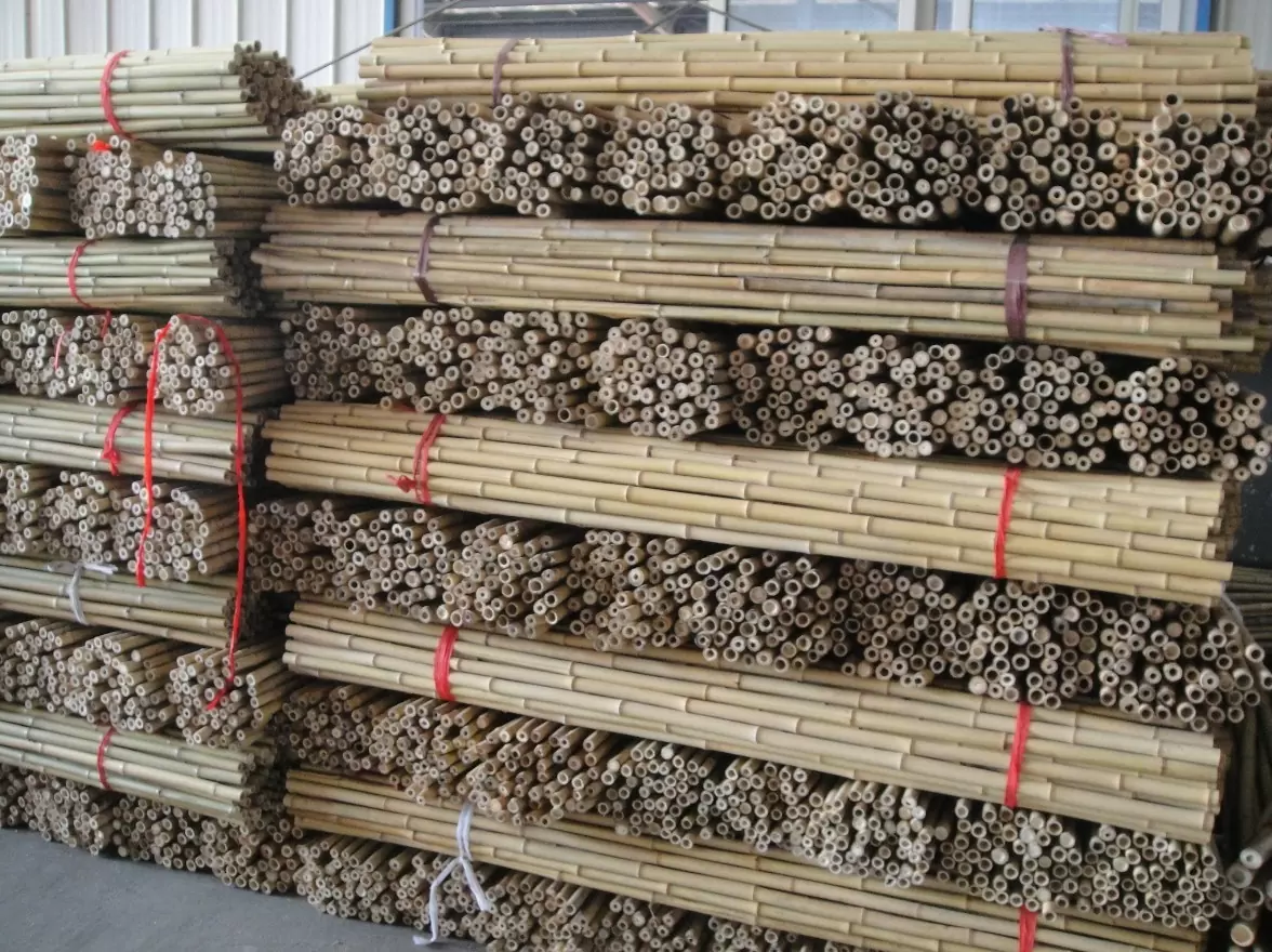 Bamboo Poles For Landscaping Needs