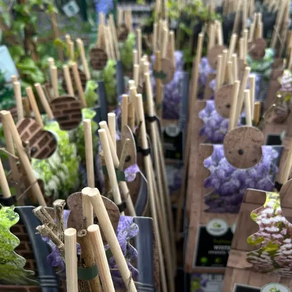 Bamboo Plant and Flower Stick