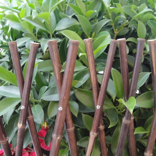 Bamboo Garden Trellis Plant Climbing‘