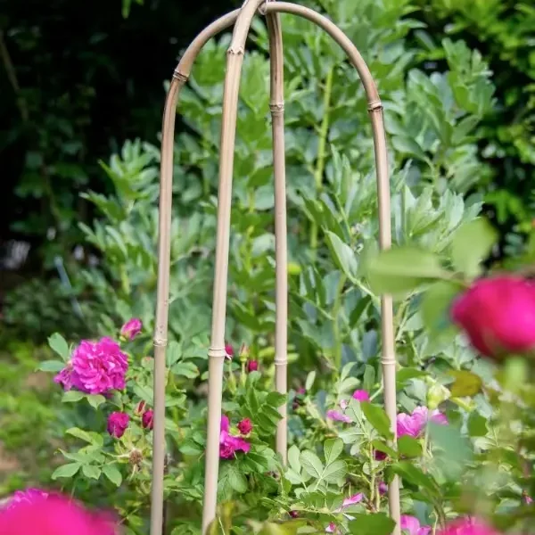 Bamboo Natural Hoops U-Shape Handmade Stakes